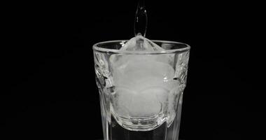 Pour vodka into shot glasses with ice cubes placed on a black background video