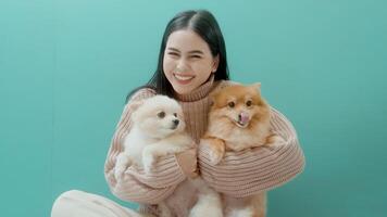 Portrait of Young beautiful woman kisses and hugs her dog over green background. video