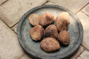 Blacknut or Pangium edule Kluwak Kepayang Pucung photo