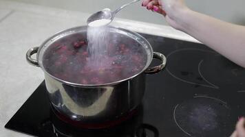 Berries in pot with boiling water. Adding sugar. Cooking compote. Kitchen video