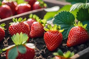 AI generated Close-up Strawberry after rain in garden by AI Generative photo