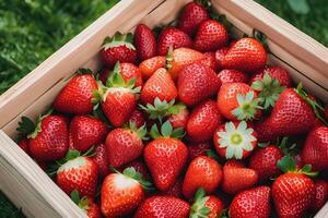 AI generated Pile of Fresh Strawberries in a Wooden Crate by AI Generative photo