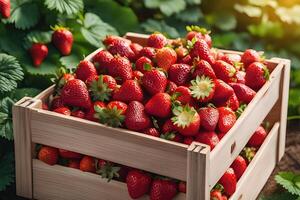 AI generated Pile of Fresh Strawberries in a Wooden Crate by AI Generative photo