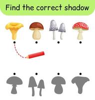 Find the correct shadow. Kids game. Educational matching game for children. Mushroom theme vector