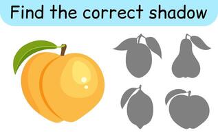 Find the correct shadow. Kids game. Educational matching game for children. Fruit theme vector