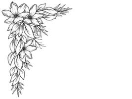 Bouquet Flower Corner Outline Illustration vector