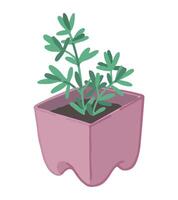 en conserva planta garabatear. jardinería atributo vector ilustración en dibujos animados estilo aislado en blanco.