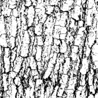 Rustic grunge texture with grain and stains. Abstract noise background. PNG graphic illustration with transparent background.