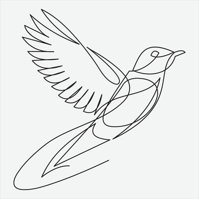 Continuous line hand drawing vector illustration bird art