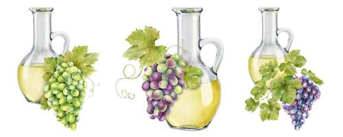 Jug with grape seed oil. A decanter with grape juice. Natural vegetable oil. Grape seed oil in glass bottle. Isolated watercolor illustration. For the design of labels of wine, grape juice, cosmetics. vector