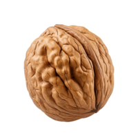 AI generated Dry walnut png isolated on transparent background