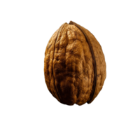 AI generated Dry walnut png isolated on transparent background