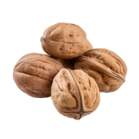 AI generated Dry walnut png isolated on transparent background