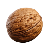 AI generated Dry walnut png isolated on transparent background