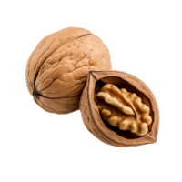 AI generated Dry walnut png isolated on transparent background