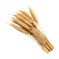 AI generated a bunch of wheat on a transparent  background png