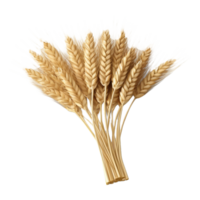 AI generated a bunch of wheat on a transparent  background png