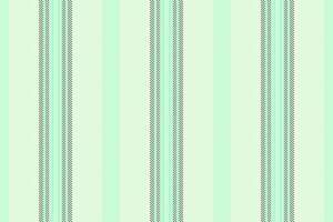 Lines background stripe of vector textile texture with a pattern seamless fabric vertical.