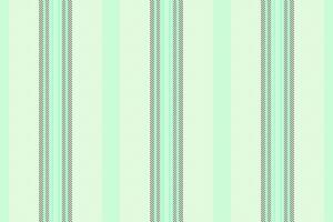 Lines background stripe of vector textile texture with a pattern seamless fabric vertical.