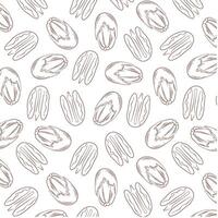 Pecan pattern in line art style. Hand drawn vintage print on white background. Vector illustration on a white background.