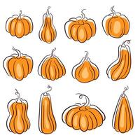 Pumpkins collection in line art style. Design for Thanksgiving day, Halloween or Autumn Concept. Vector illustration isolated on a white background.