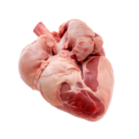 AI generated Heart of Lamb Isolated on transparent background png