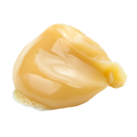 AI generated Goose Fat   Isolated on transparent background png