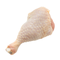 AI generated Chicken raw Drumstick Isolated on transparent background png