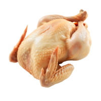 AI generated Whole Chicken Isolated on transparent background png