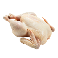 Whole Chicken Isolated on transparent background png