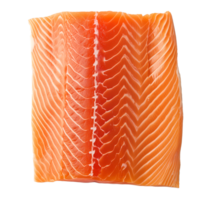 AI generated Salmon Frame   Isolated on transparent background png