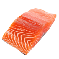 AI generated Salmon Collar   Isolated on transparent background png