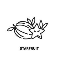 lineart starfruit logo illustration suitable for fruit shop and fruit farm vector