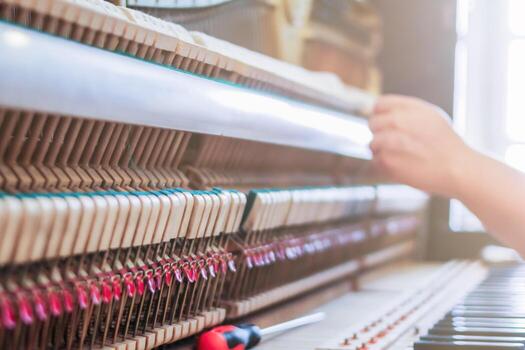 Soft Focus and Blur,The pianist is fixing and adjusting the sound of the piano correctly and precisely so that the practice and performance of the piano will be melodious and without glitches. photo
