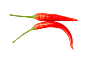 top visie van vers rood Chili paprika's geïsoleerd met knipsel pad in PNG het dossier formaat