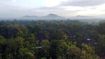 Aerial view of rice fields and trees in Mindi, Klaten, Central Java, Indonesia. photo