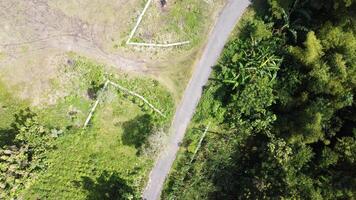 Aerial view of rice fields and trees in Mindi, Klaten, Central Java, Indonesia. photo