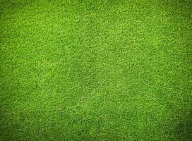 Top view of green grass texture background, green lawn photo