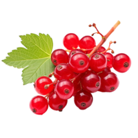 AI generated Redcurrant fruit png isolated on transparent background