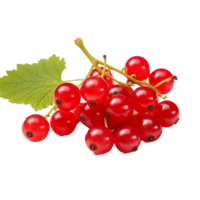 AI generated Redcurrant fruit png isolated on transparent background