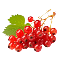 ai generato ribes rosso frutta png isolato su trasparente sfondo