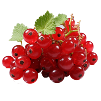 AI generated Redcurrant fruit png isolated on transparent background