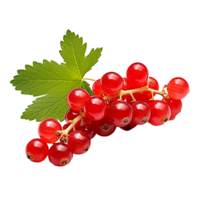 AI generated Redcurrant fruit png isolated on transparent background