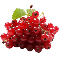 AI generated Redcurrant fruit png isolated on transparent background