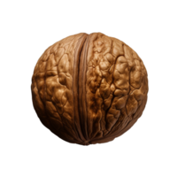 AI generated Dry walnut png isolated on transparent background