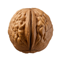 AI generated Dry walnut png isolated on transparent background