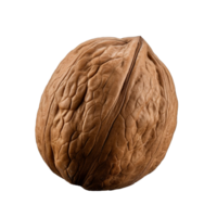 AI generated Dry walnut png isolated on transparent background