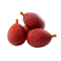 AI generated Salak fruit png isolated on transparent background