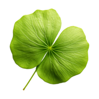 AI generated Nasturtium leaf isolated on transparent background png