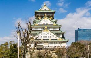 Beautiful architecture osaka castle with tree photo